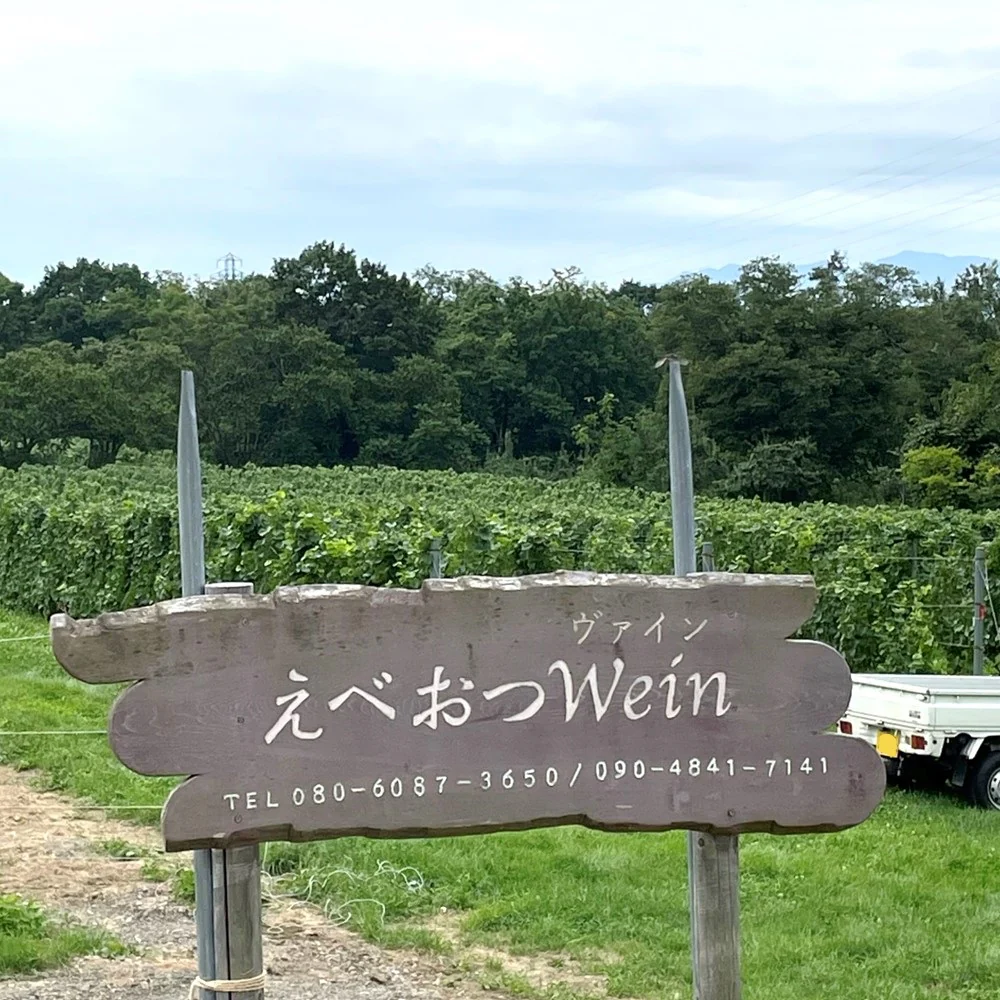 えべおつWein 朝焼け das Morgenrot 2023 750ml - Image 4
